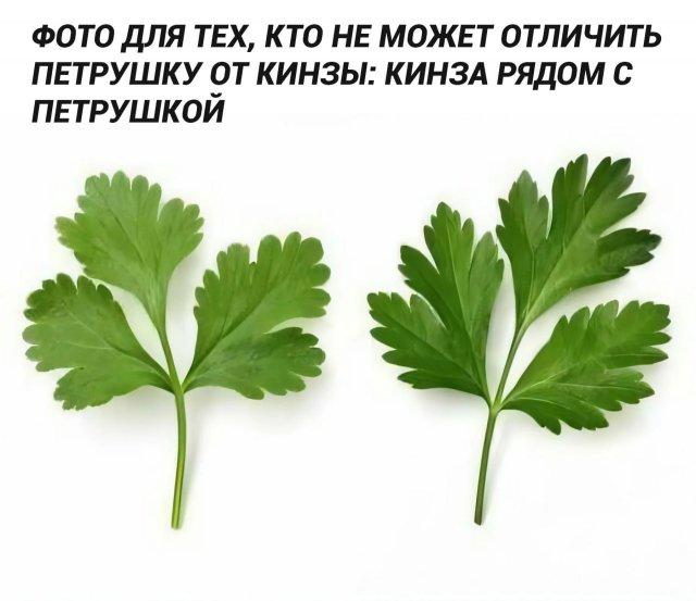 Дмитрий Филиппов tweet media