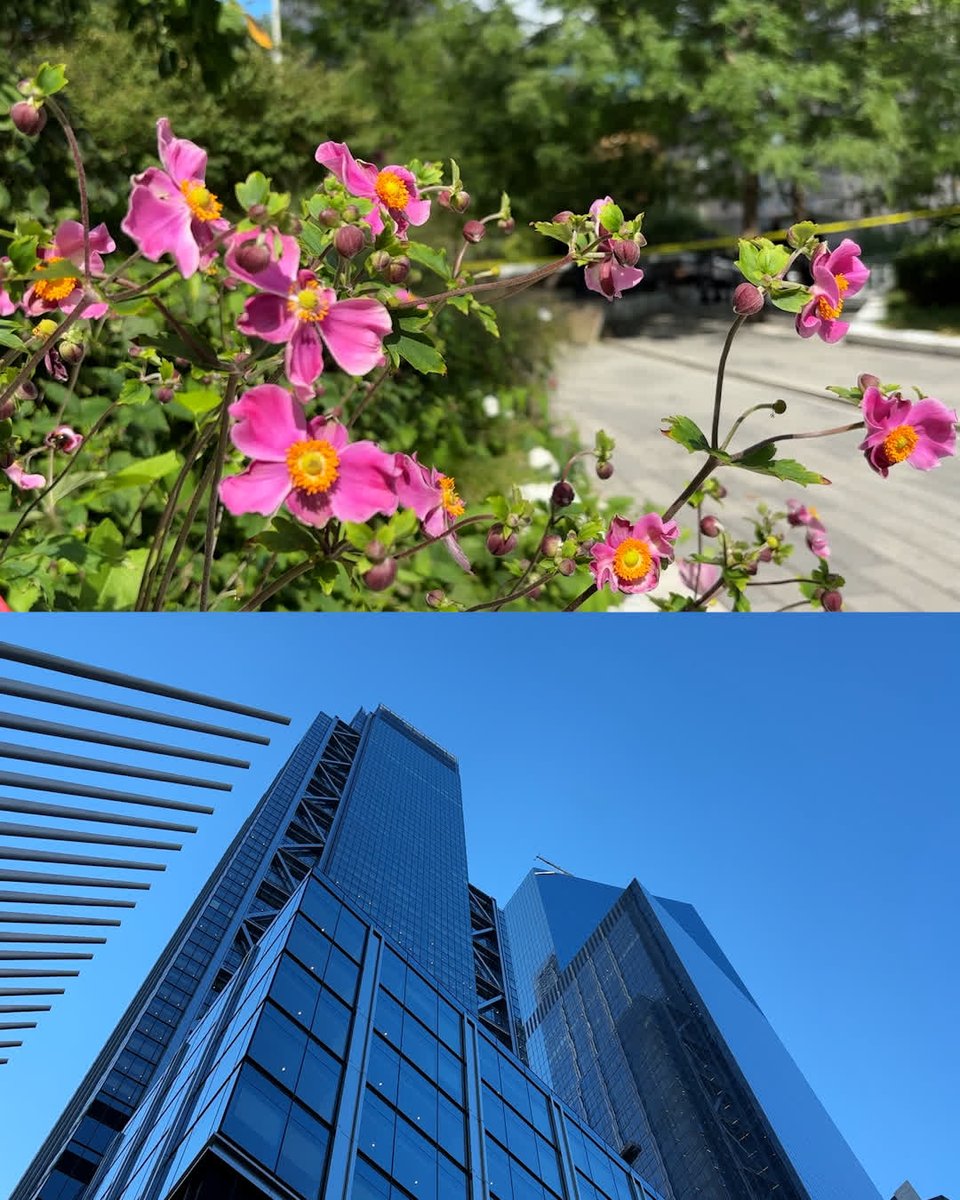 World Trade Center tweet media