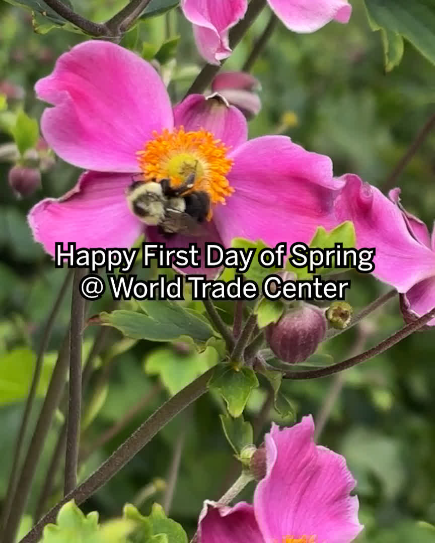 World Trade Center tweet media