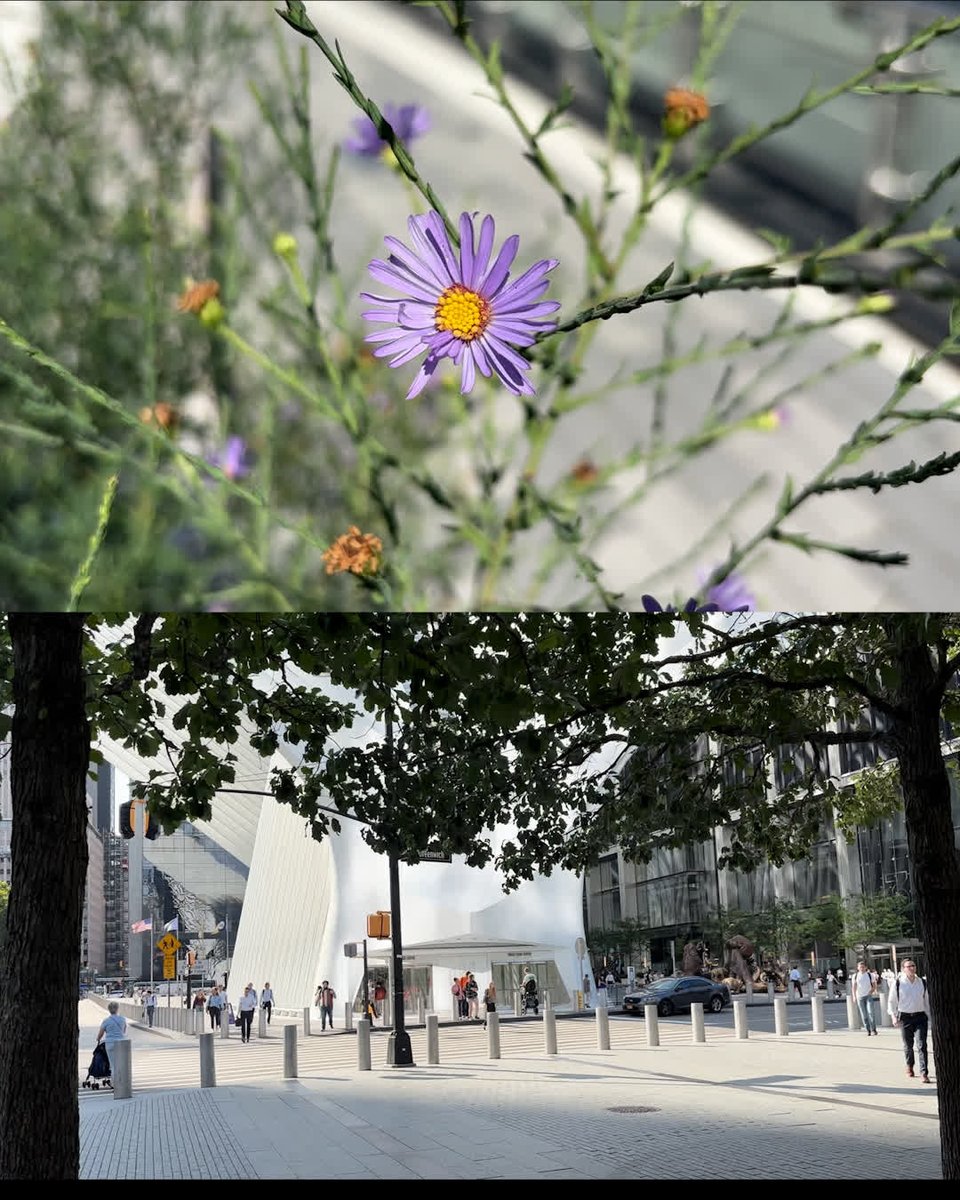 World Trade Center tweet media