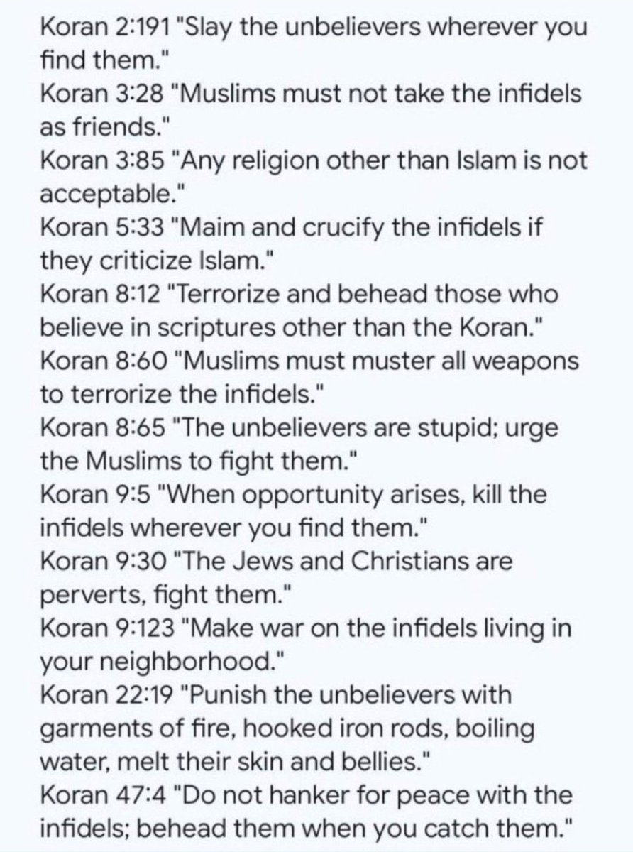 Arnold Rimmer tweet media