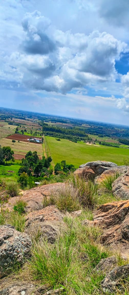 Mansang🖤 tweet media