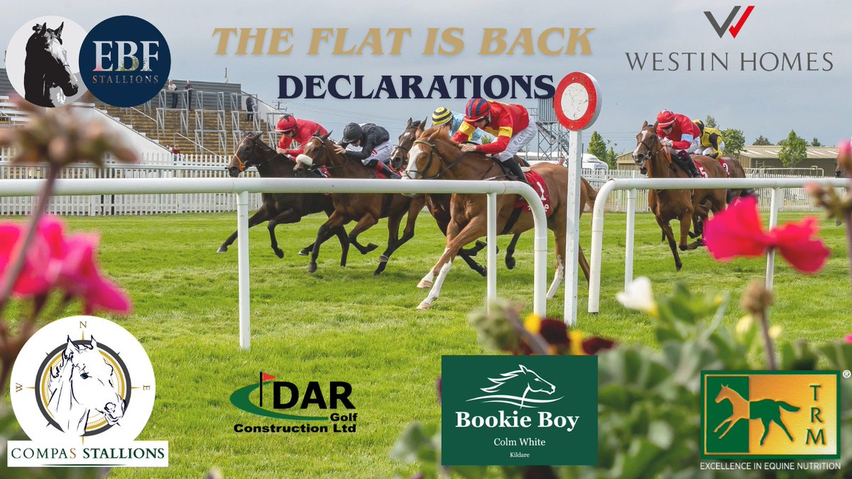 Naas Racecourse tweet media