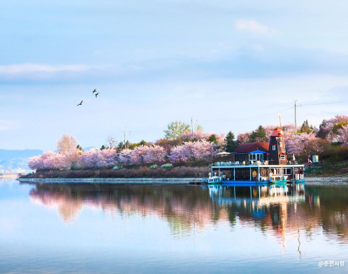 오로라 tweet media