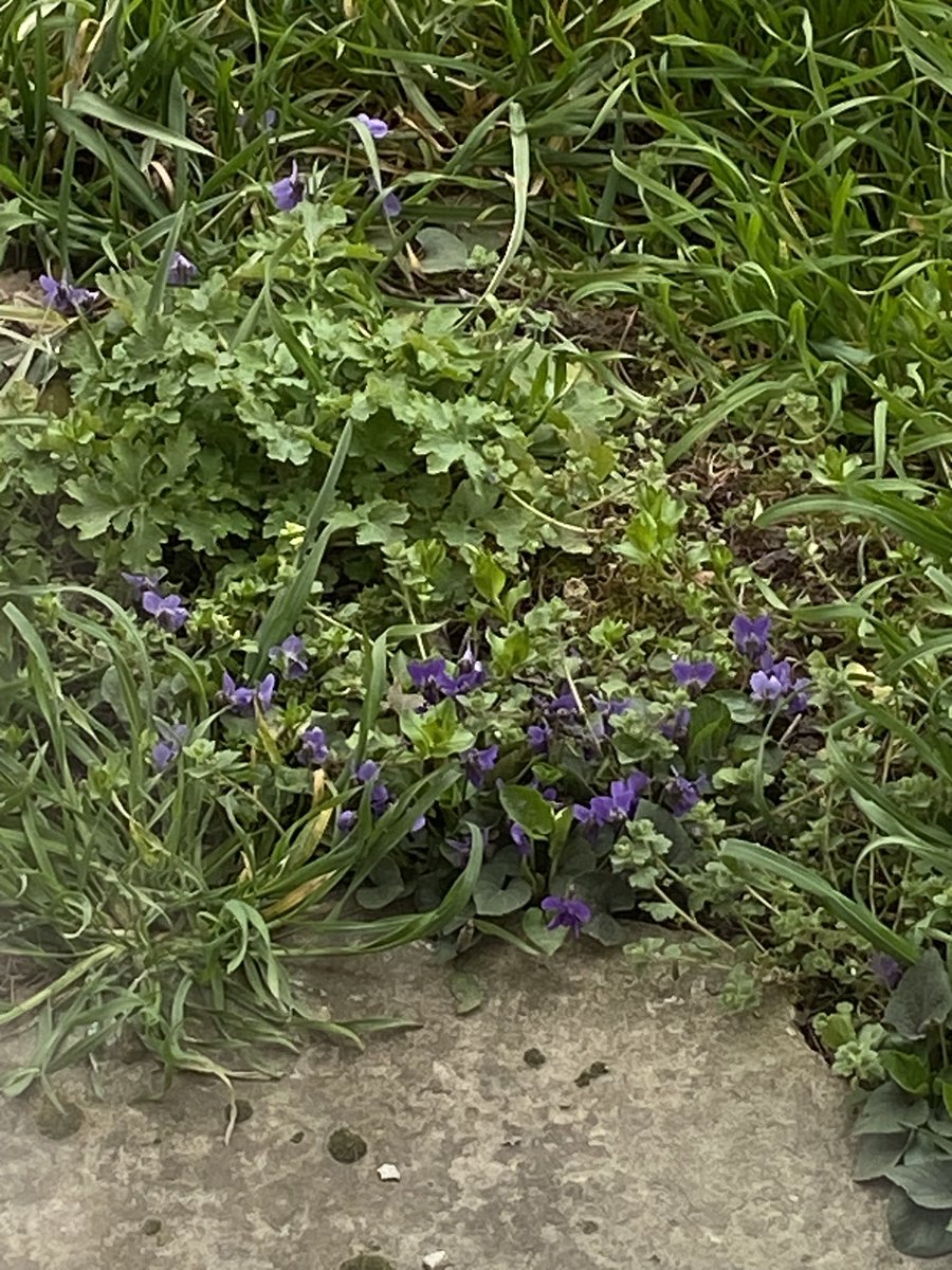 outsider. tweet media