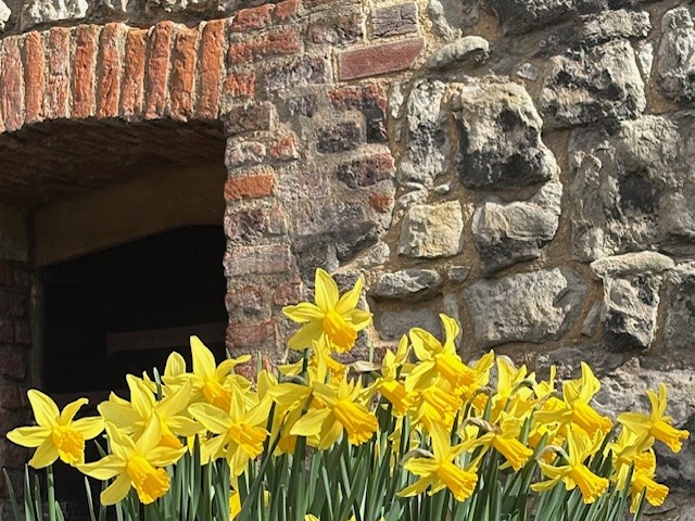 Westminster Abbey tweet media