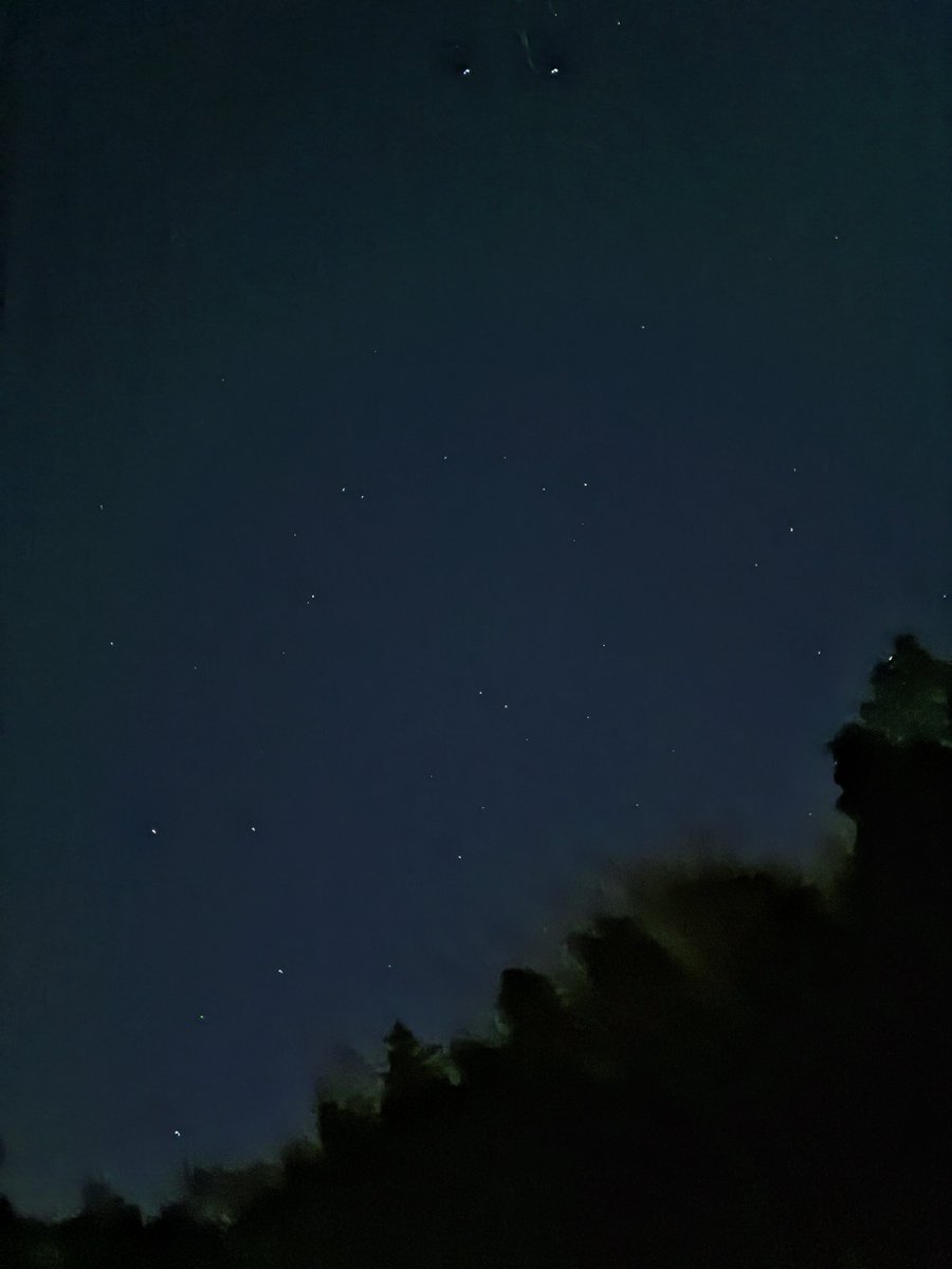 おじまる tweet media