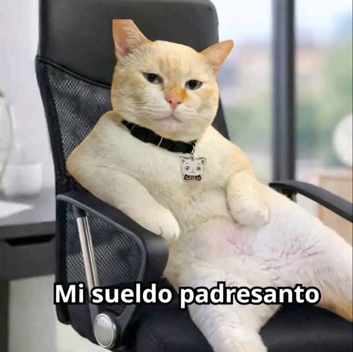 Mi jefe: ¿Qué podemos mejorar en el trabajo?
Yo: