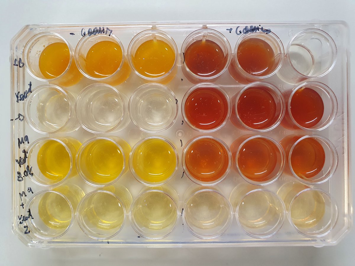 Centro Nacional de Biotecnología (CSIC) tweet media