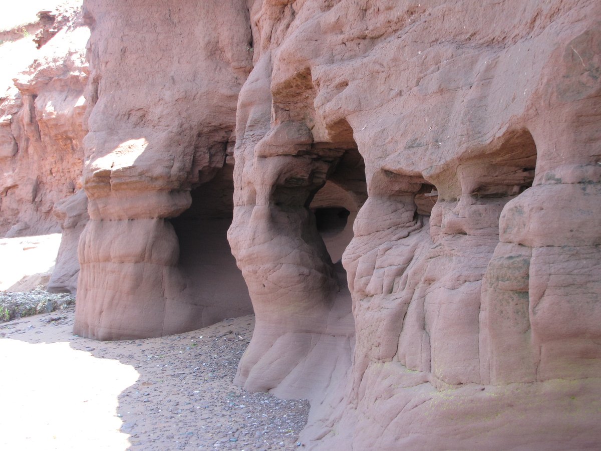 Always Anon PEI tweet media