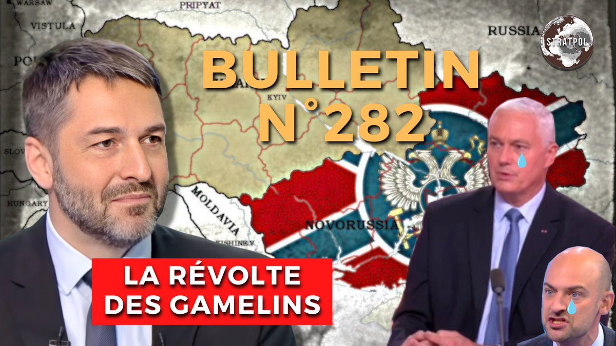 Stratpol tweet media