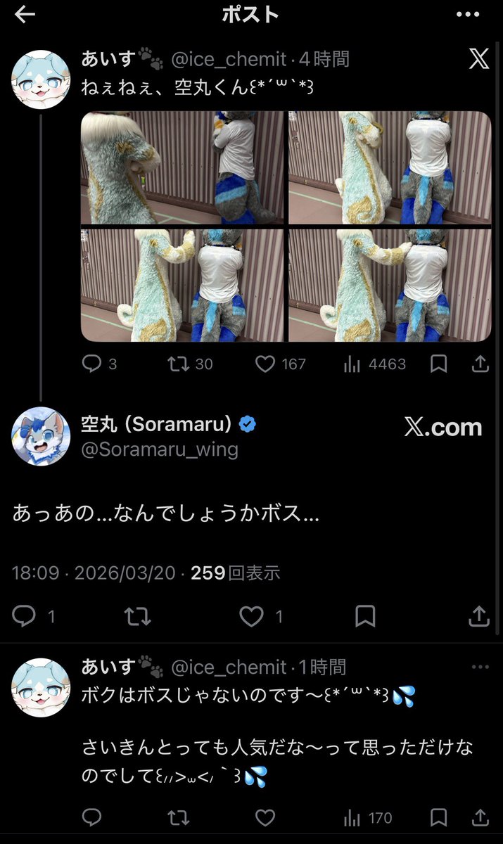 ただっち tweet media