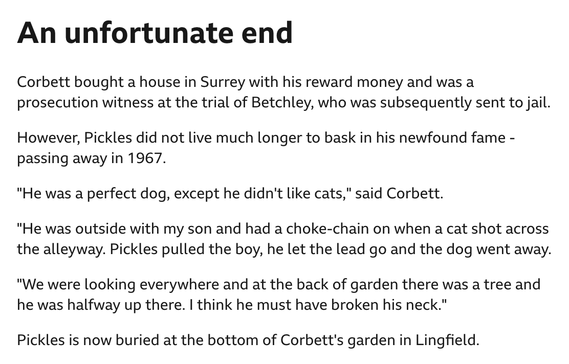 QPR REPORT tweet media