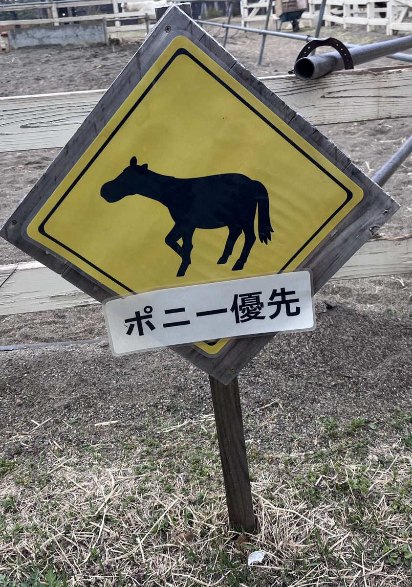 ๐ ้ฆใกใใ ๐ tweet media