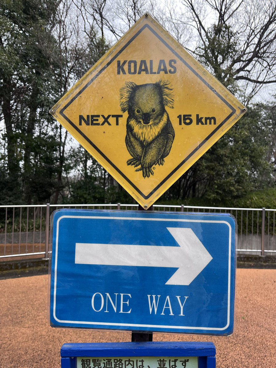 ๐ ้ฆใกใใ ๐ tweet media