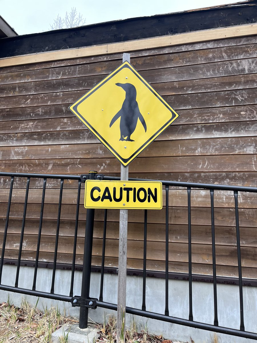 ๐ ้ฆใกใใ ๐ tweet media