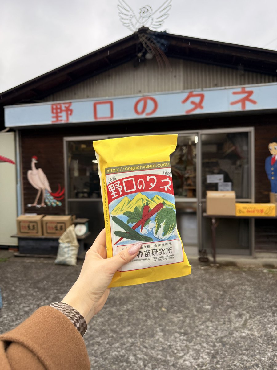 埼玉県飯能市の「野口のタネ（野口種苗研究所）」に行ってきました〜。ここはホームセンターにあるF1種（かけ合わせ、形が均一で病気に強く大量生産向き）でなく、日本の伝統野菜の種がたくさん置いてあります。固定種は自家採種できるので種を採って次の年も蒔けば、ずっと繋いでゆくことができます。