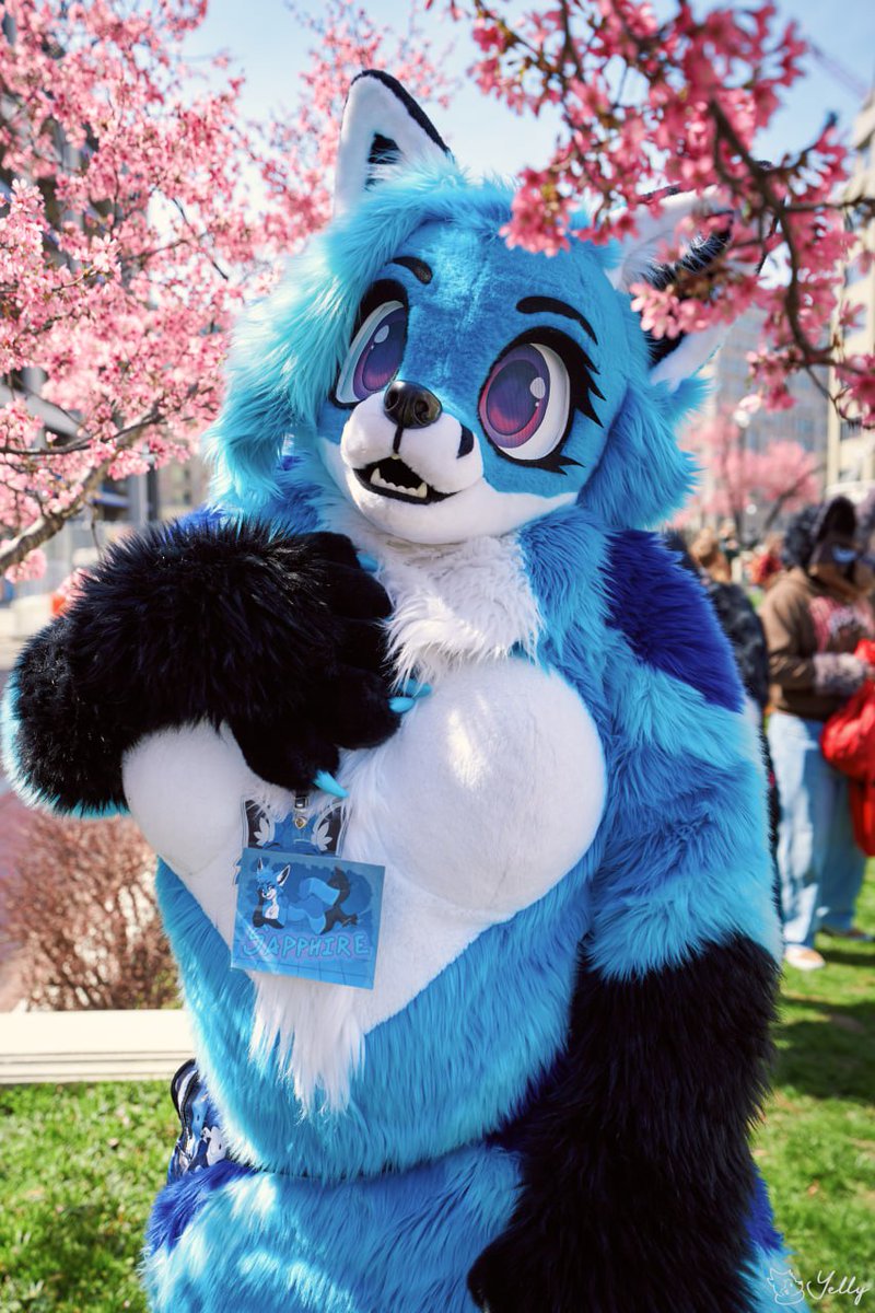 Sapphire 🔜 FTM, FWA, AC?, MAW tweet media