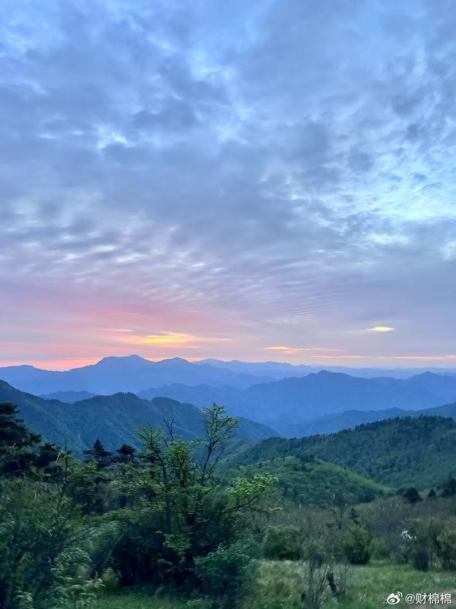 lucien juste tweet media