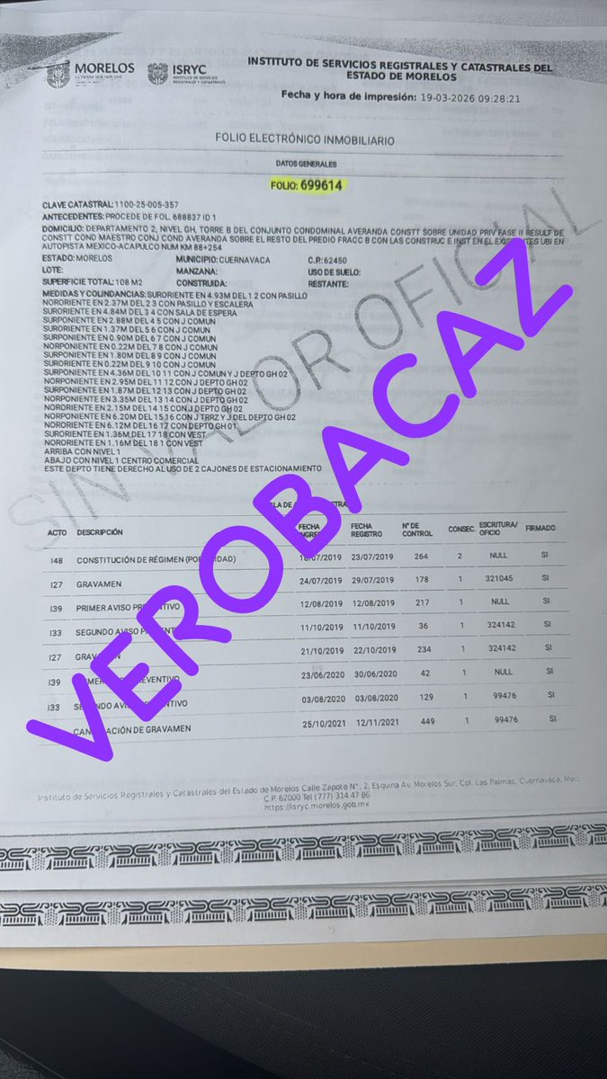 Verónica Bacaz tweet media