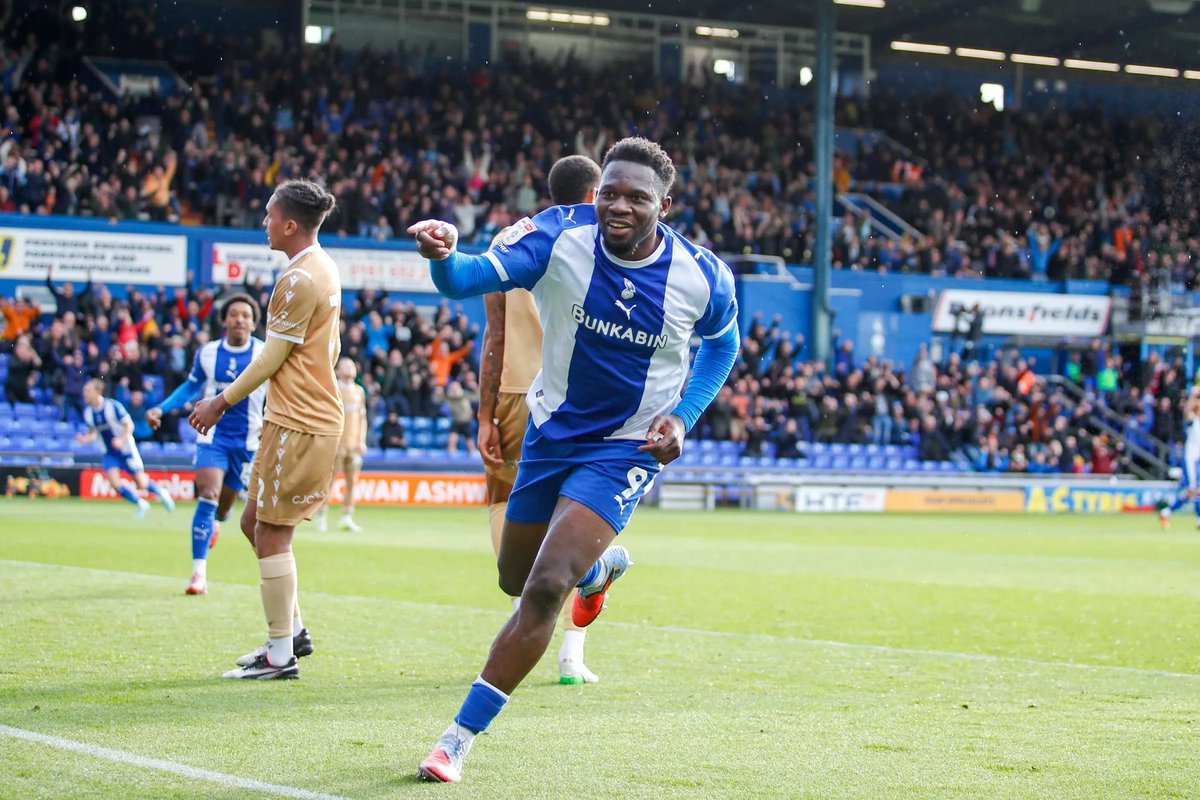 FEFL Tipsters tweet media