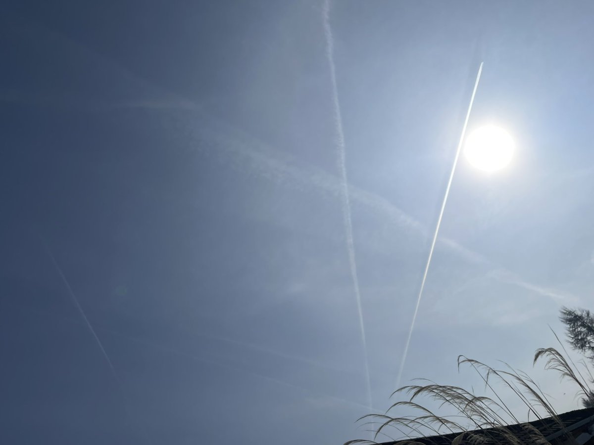 Nae Comment tweet media