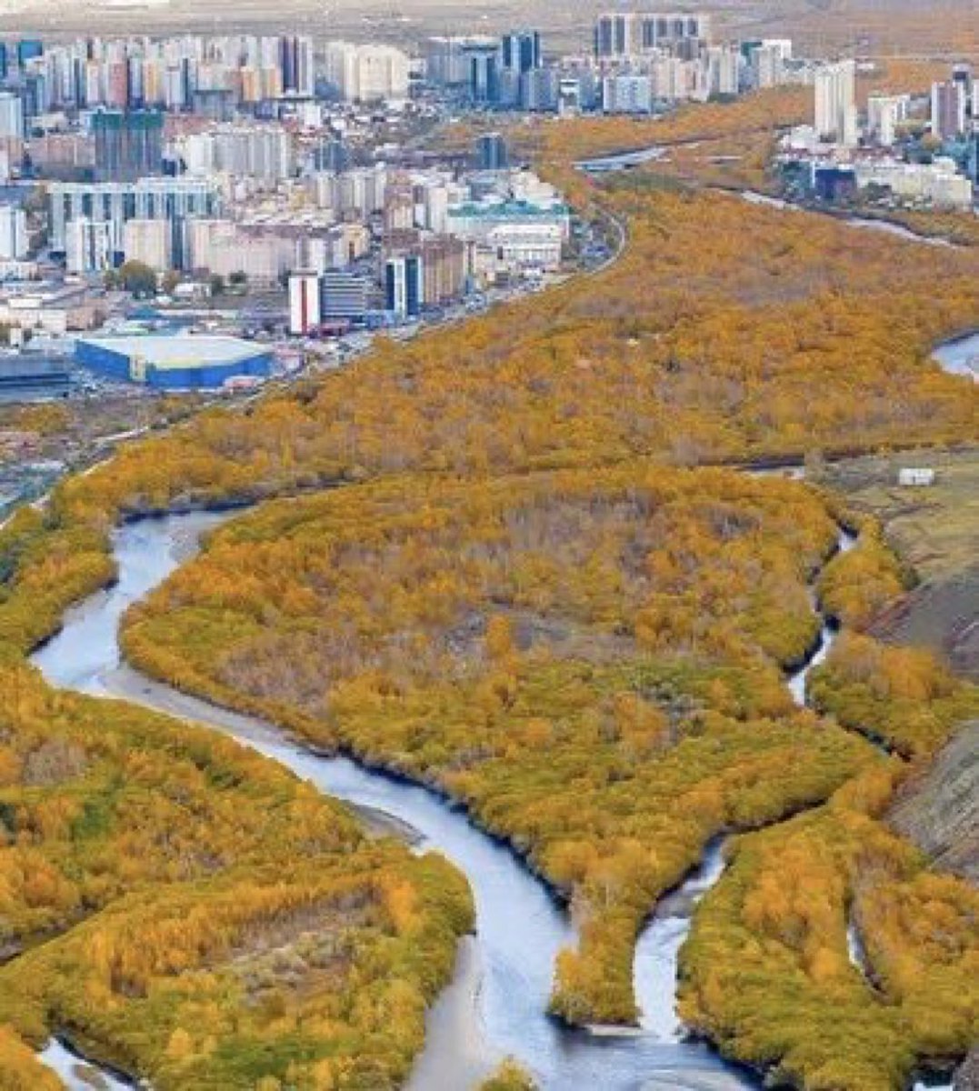 М.Баттулга tweet media