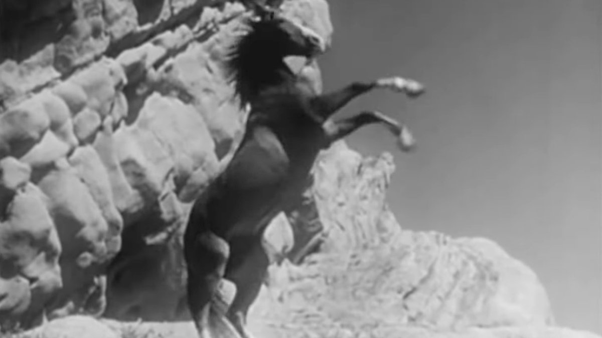 Mark Braxton 💙 tweet media