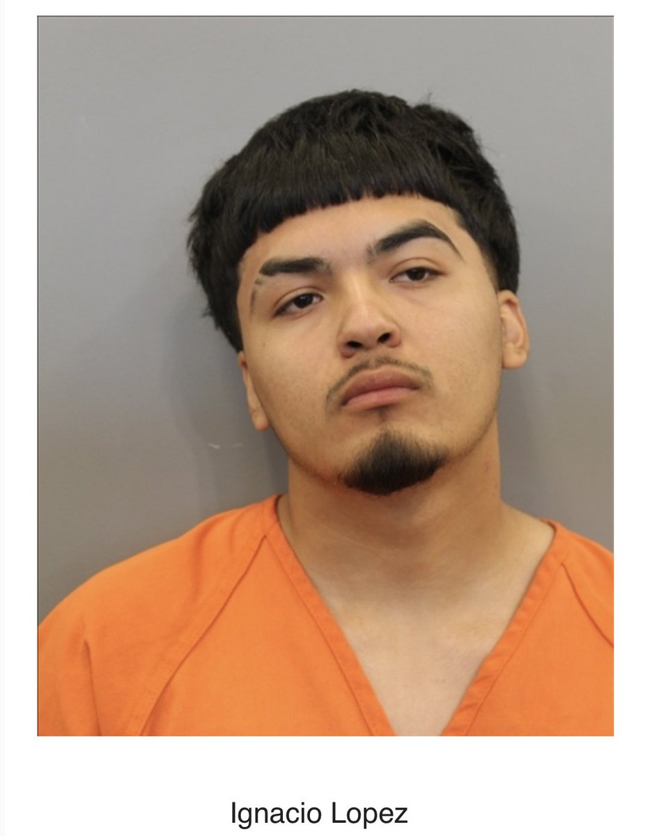 Michelle GCR tweet media