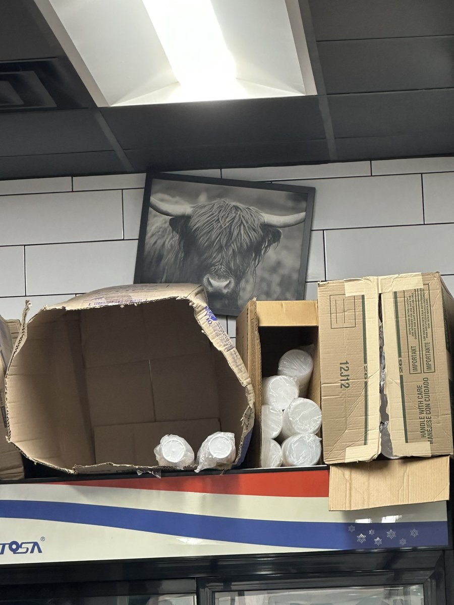 Kirk Englehardt 📸 tweet media