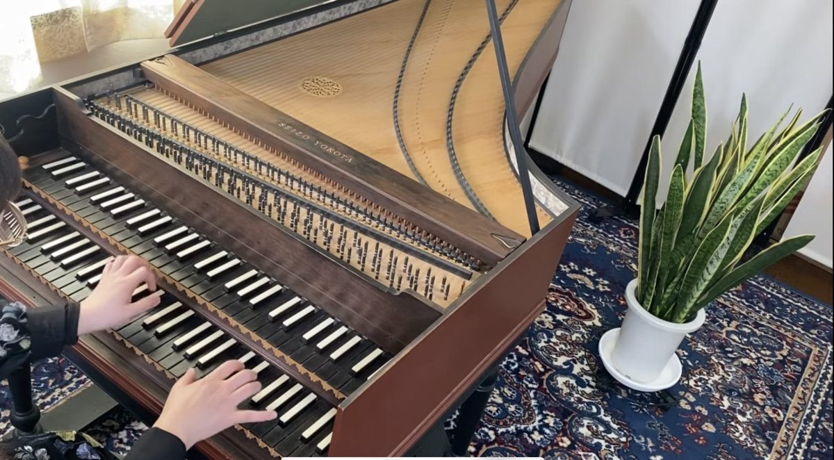 みずま埜（みずまや）【チェンバロ奏者】 tweet media