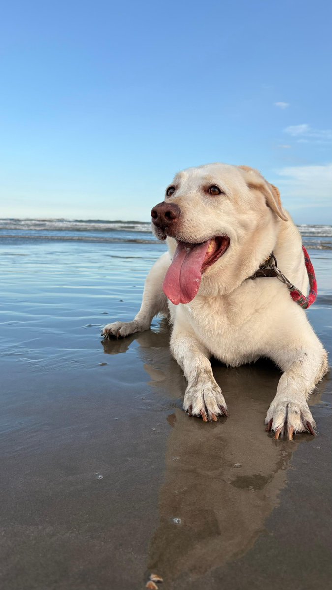 Martinez tweet media