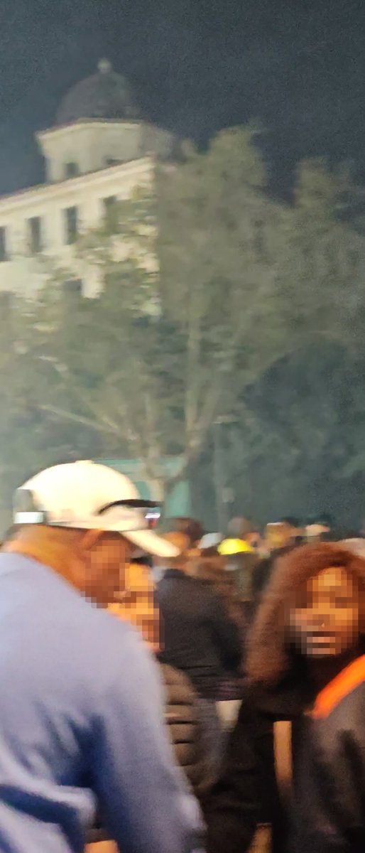 Daniel Remigio tweet media