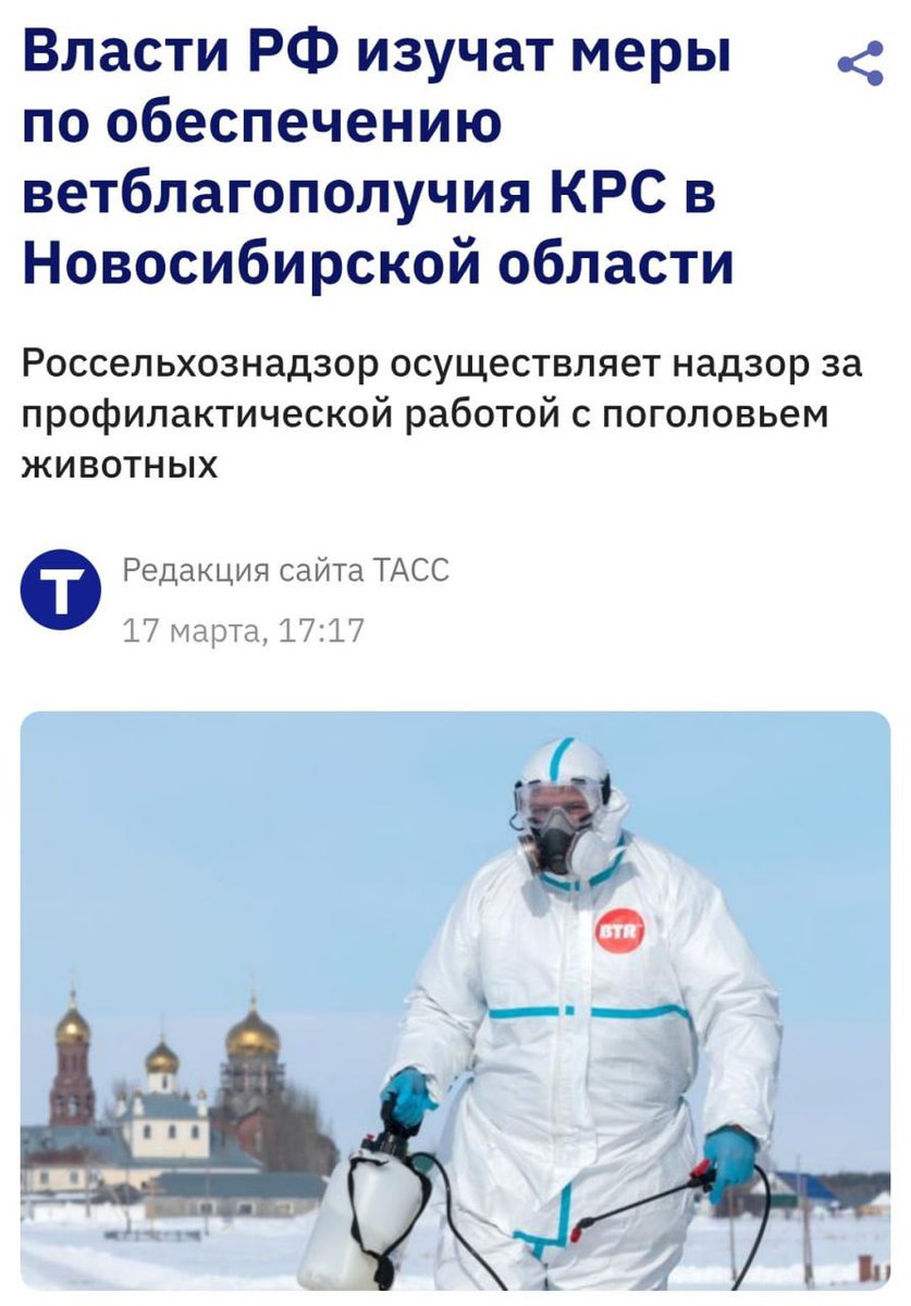 Koul Schepard tweet media