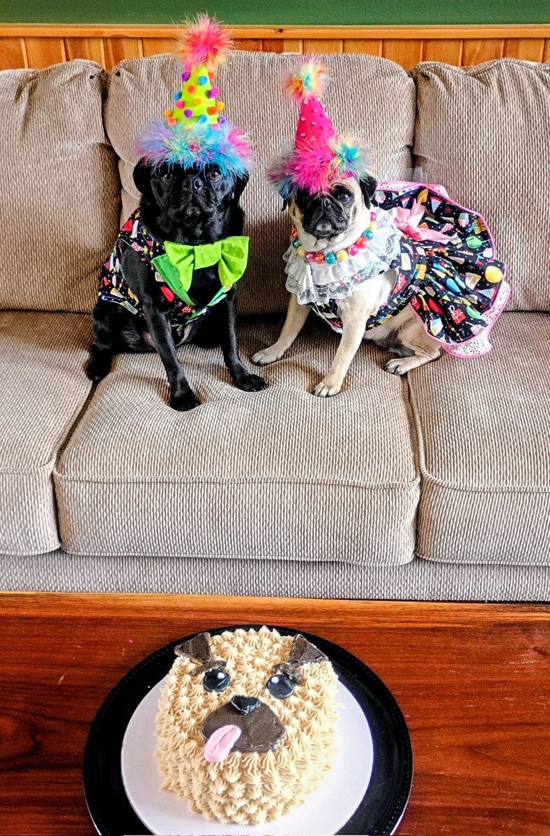 Angel Mushu😇🌈, Zinny🖤, Winny💓, Lucy tweet media