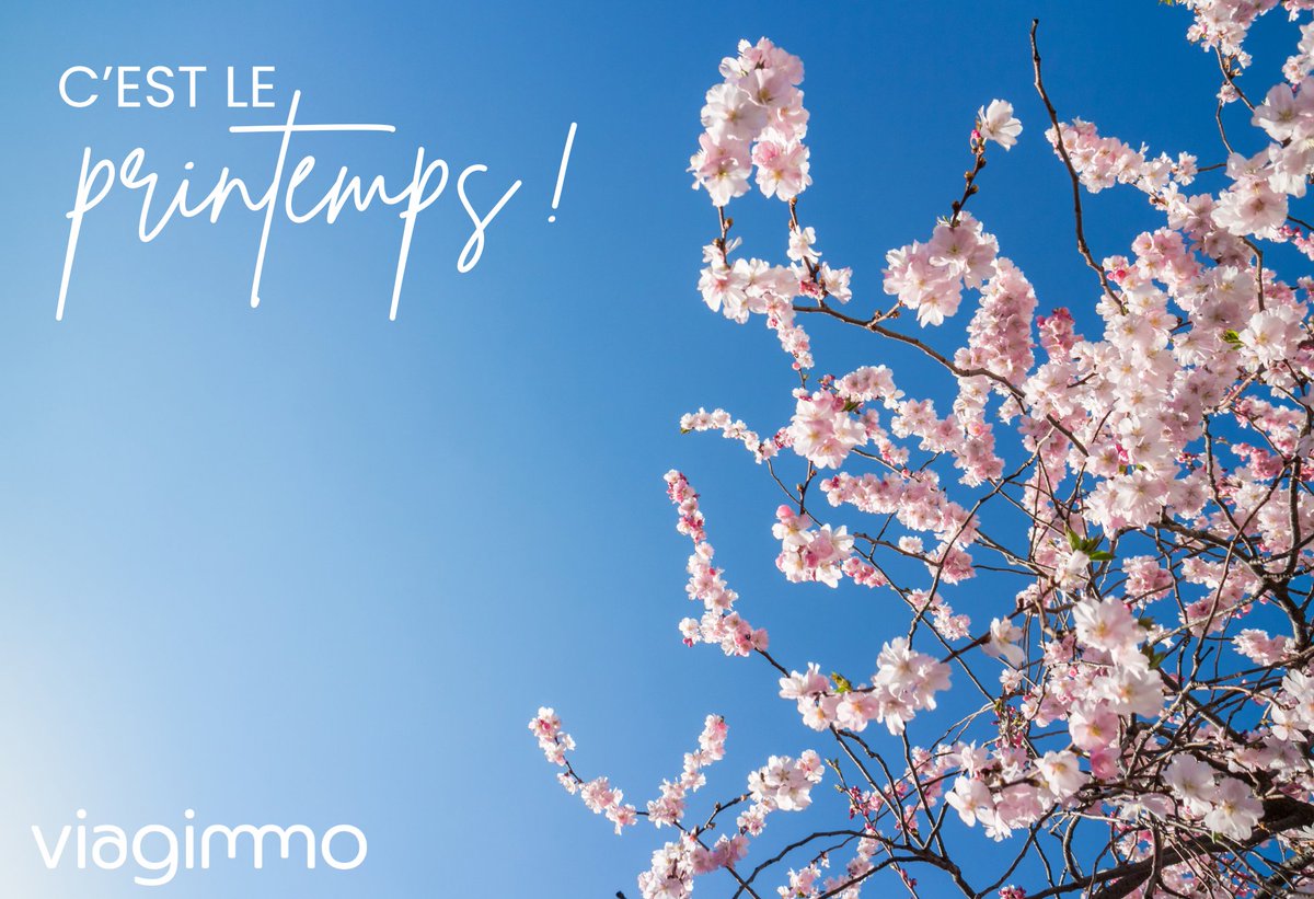 Viagimmo tweet media