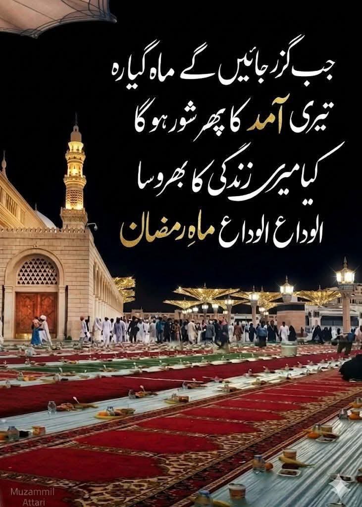 GULNAZ TANOLI tweet media