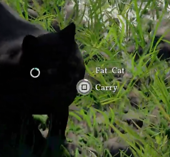 N0rbertas's tweet photo. @BoomstickAlex i dont know why but i love the fact that his name is "Fat Cat" https://t.co/DXGKSWeAp0