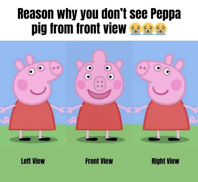 memes to save tweet media