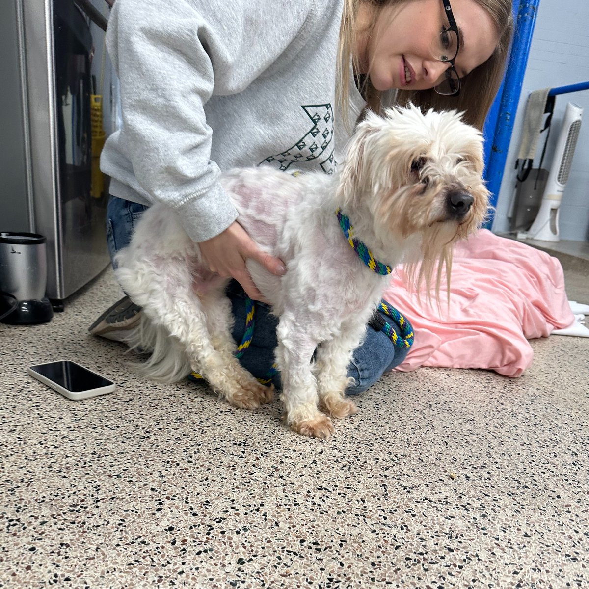 Pennsylvania SPCA tweet media