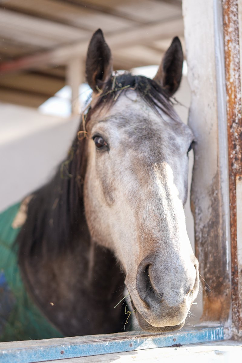 ぼん🍥 tweet media