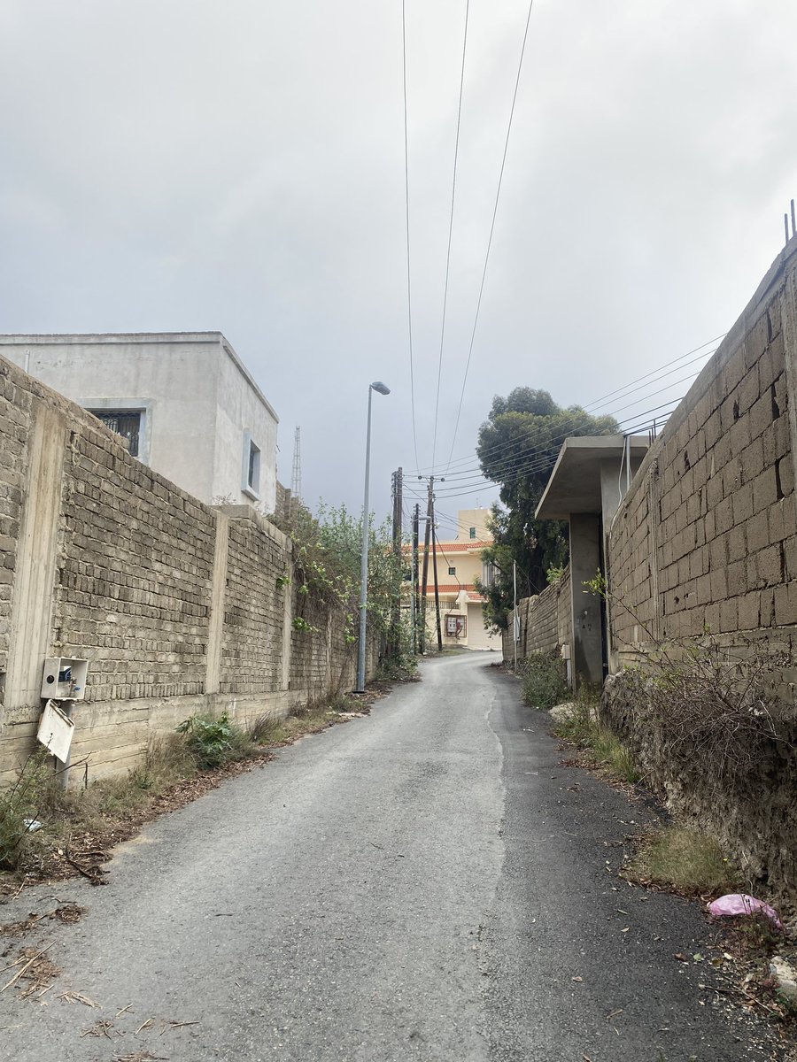 Rand🦒 tweet media