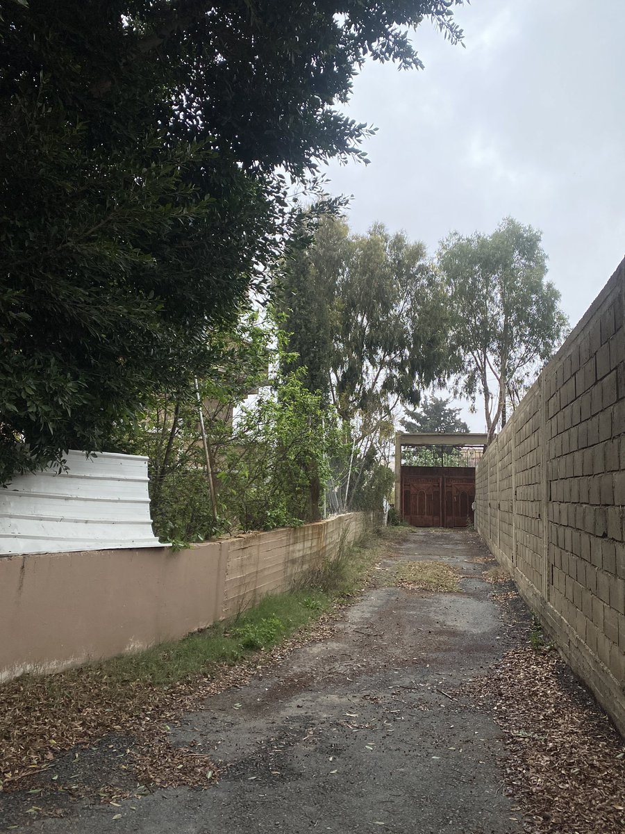 Rand🦒 tweet media