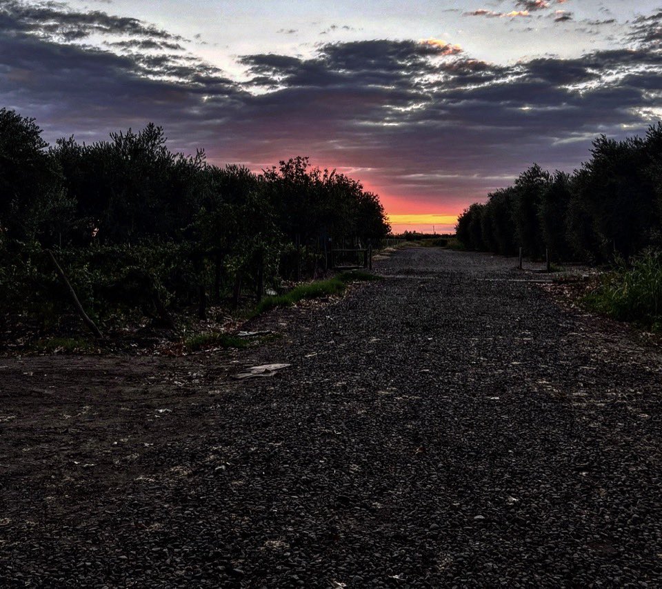 Alejandro Vigil tweet media