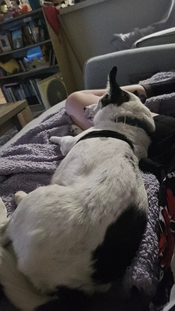 I forgot how gassy maxx can be, currently being blasted