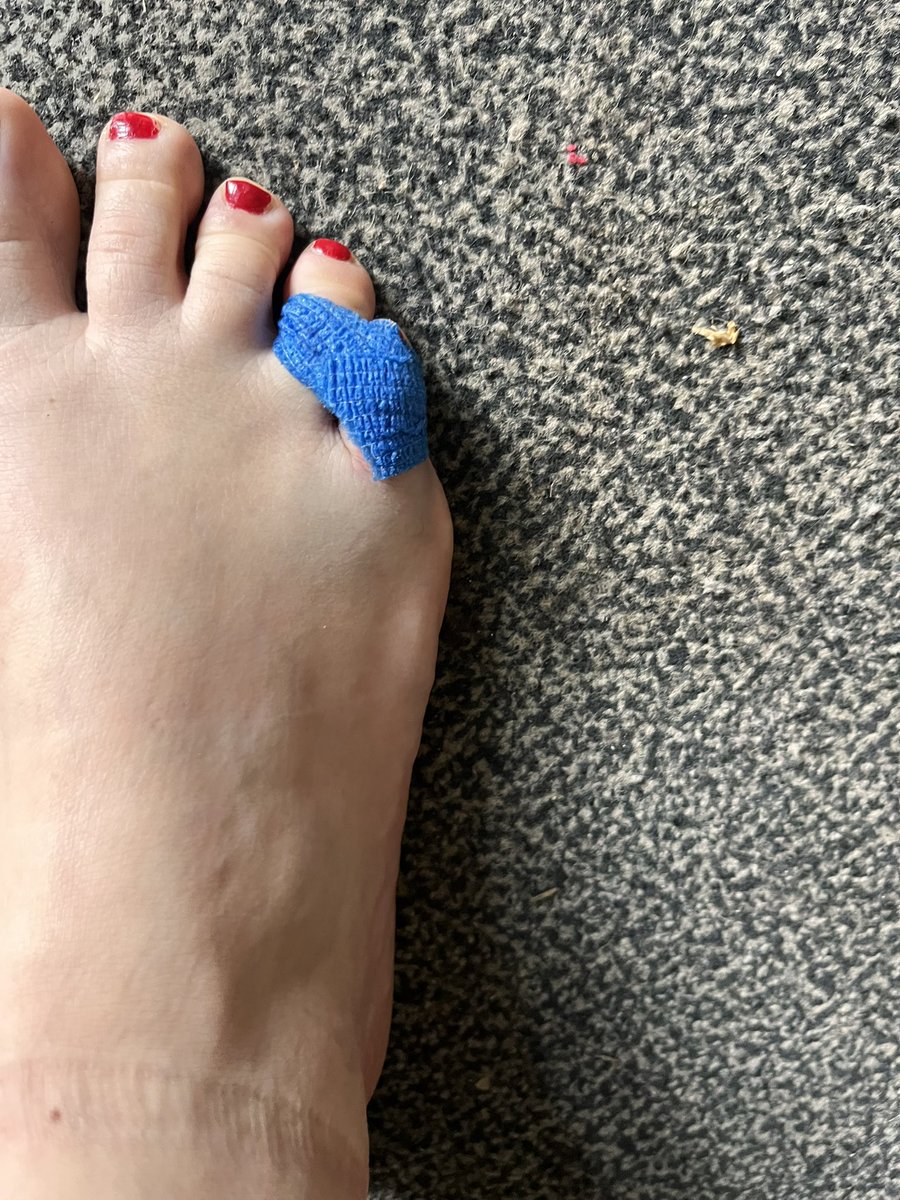 Rienmakäfer 🐞 tweet media