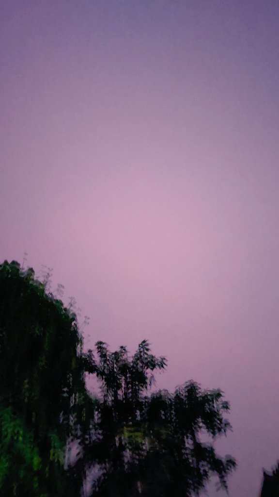 serenityy ✨️ tweet media