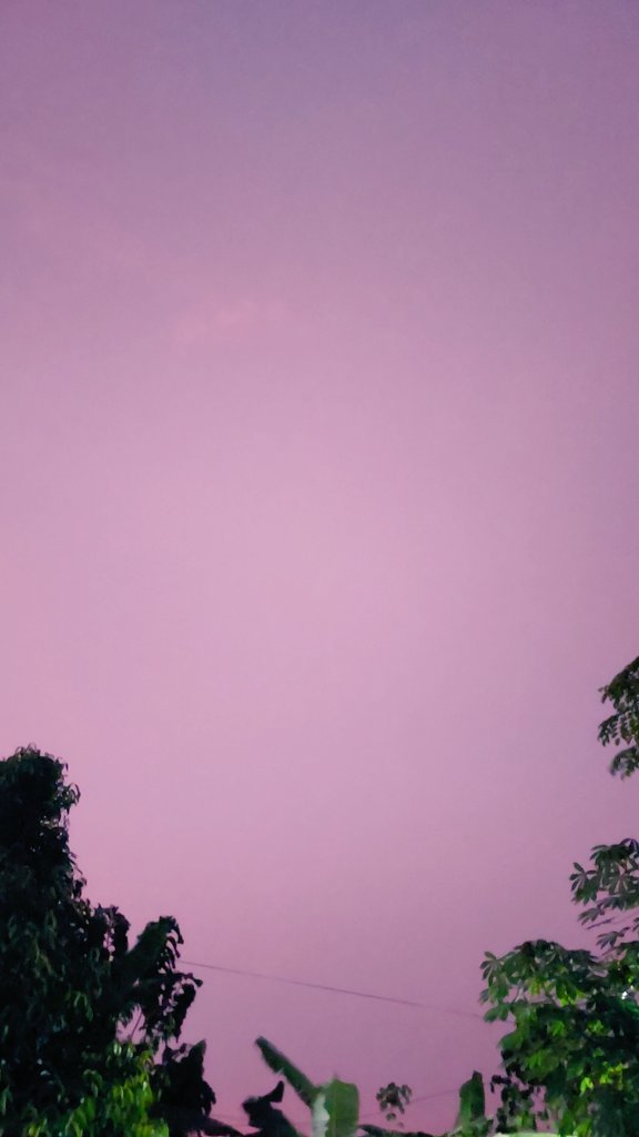 serenityy ✨️ tweet media