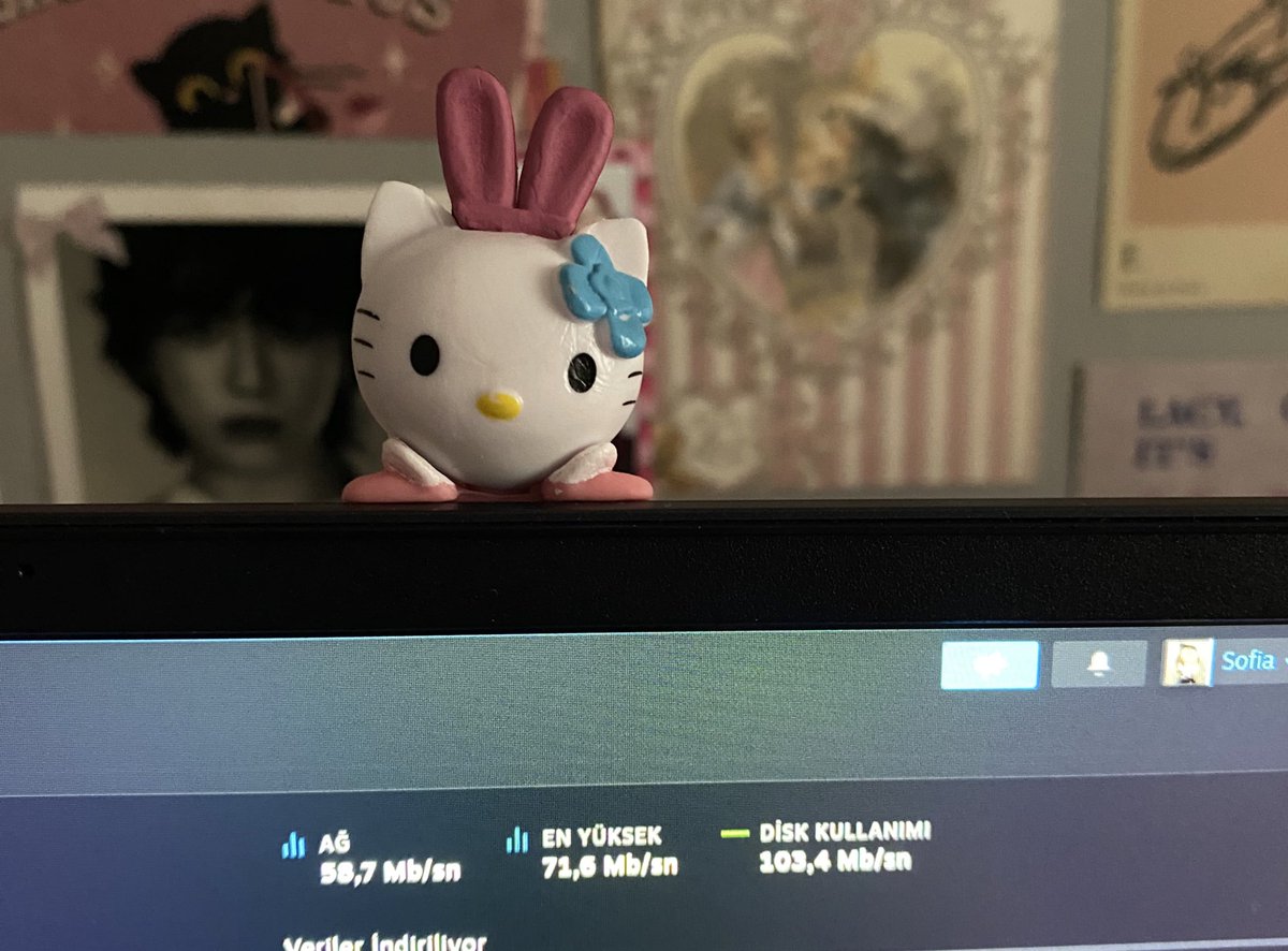 sarisin bomba tweet media