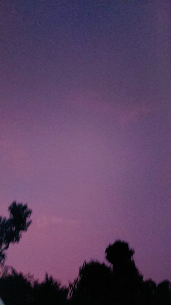 serenityy ✨️ tweet media